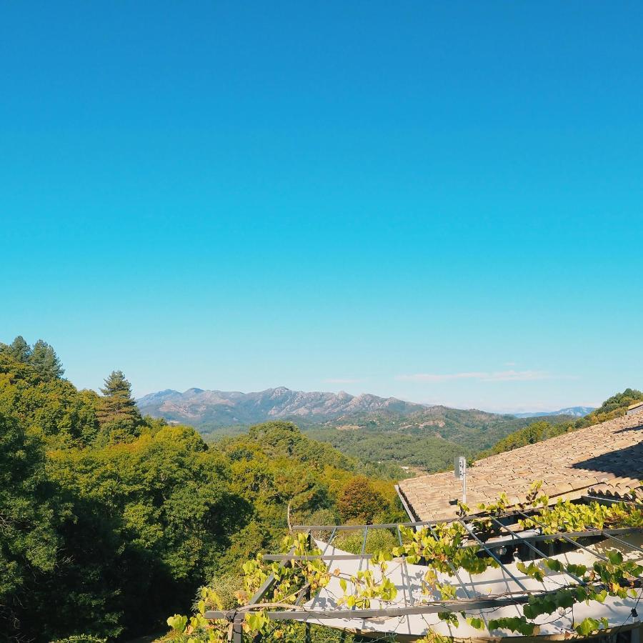 L'Evidence Bed & Breakfast Prades  Bagian luar foto