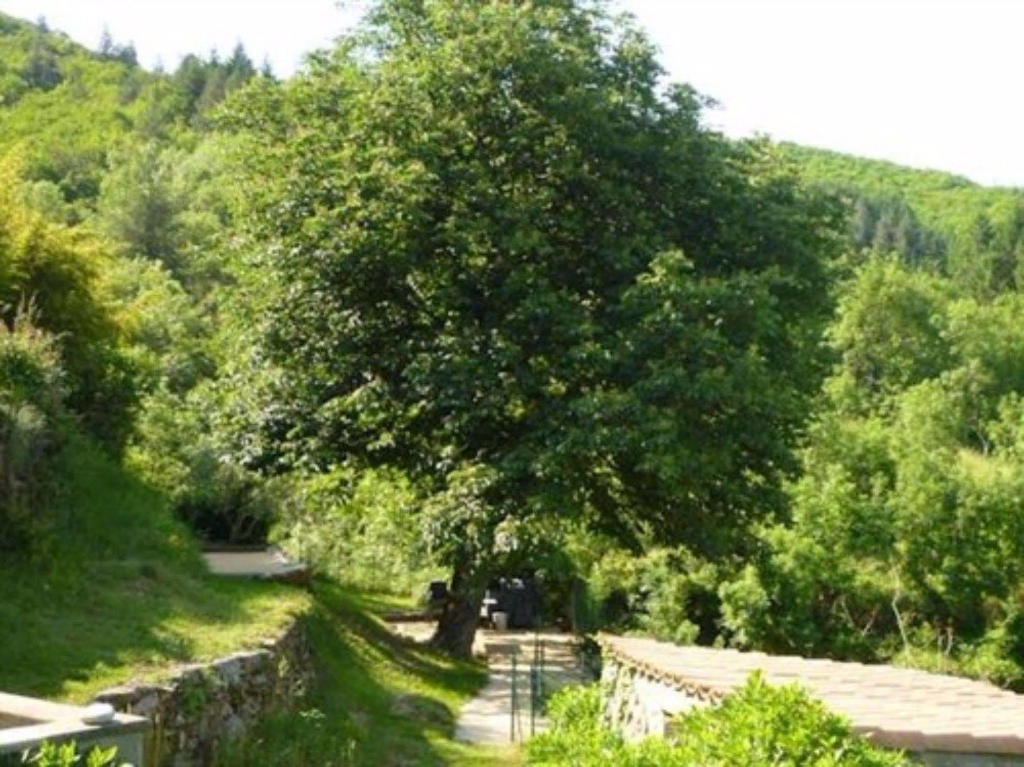 L'Evidence Bed & Breakfast Prades  Bagian luar foto