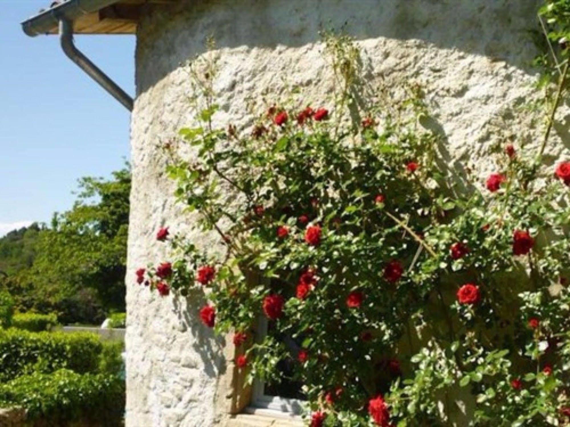 L'Evidence Bed & Breakfast Prades  Bagian luar foto